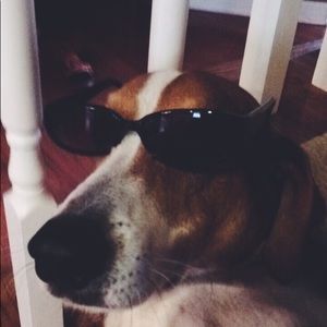 Meet your Posher, Lexi